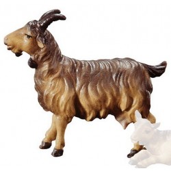 Goat : Wood carved...