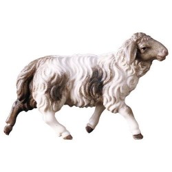 Sheep  : Wood carved...