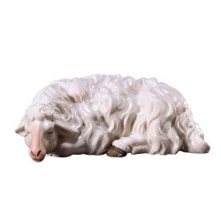 Schaap Slapend :...