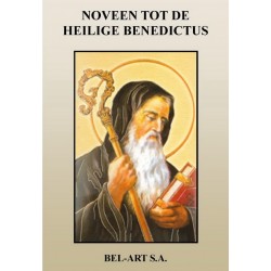 Boek - Noveen tot de H....