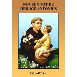 Boek - Noveen tot de...