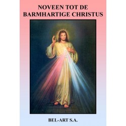 Boek - Noveen tot de...