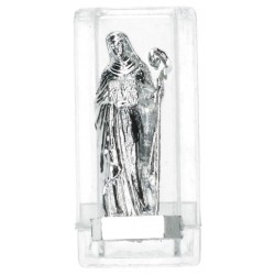 Etui plastique Statue Ste...