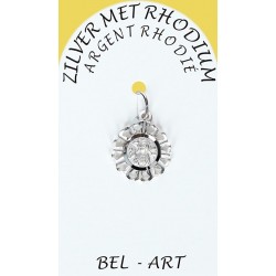 Medaille Zilver + Rhodium -...