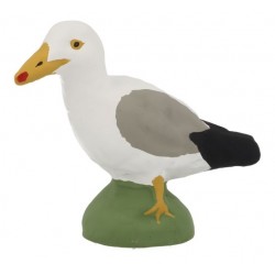 Dieren 2 zeemeeuw