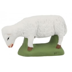 Dieren 2 Schaap Grazend