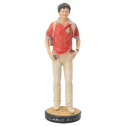 Beeld 30 cm - H Carlo Acutis