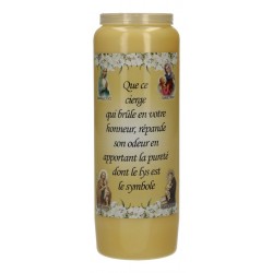 Noveenkaars / geel /...