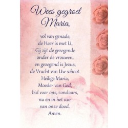 Double Card  Me  Wees...