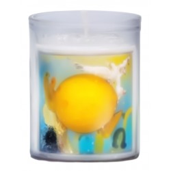 Vigile pascale - SPES, VIM...