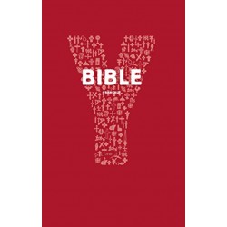 Bible Youcat