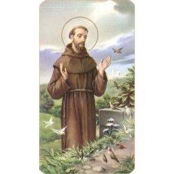 Lot de 10 - Image St Francois