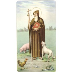 Lot de 10 - Image St...