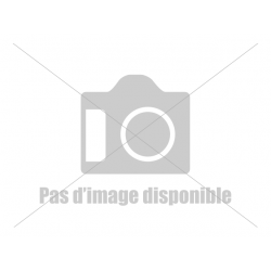 Statue Saint Alphonse 20 cm...