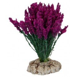 Provencaalse decor   Haasten